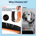 Dog Shock Collar with Soft Neoprene Padded - 4 Training Modes E Collar with 1600FT Remote Control for 5–120 lbs Large Medium Small Dogs, IPX7 Waterproof, Orange