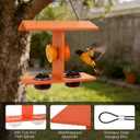 Beslands Oriole Feeders for Outdoor Hanging, 2 Jelly Cups Bird Feeder, Large Capacity with Orange Pegs All in One, Recycled HDPE, Supports Fruit Nectar Seed for Orioles, Baltimore Oriole