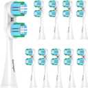Replacement Heads Compatible with Spinbrush Pro Clean Electric Toothbrush AdultsToothbrush Head, 10 Pack Brush Heads Medium Bristles (Blue Green)
