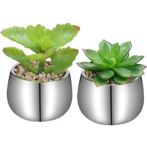 Briful Small Artificial Succulents in Pots Set of 2 Realistic Faux Succulents Plants with Silver Ceramic Pots Cute Mini Fake Plants Decor for Modern Home Table Office Desk Bathroom Shelf Decoration (Style #03)