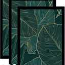 Black Picture Frame Set of 3, 12x18 Picture Frame for Photo Poster Canvas Certificate Document Display Horizontally or Vertically High Transparent Wall Gallery (Size 12 x 18 Inches)