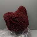 DweIke Fluffy Burgundy Red Rugs for Bedroom Living Room, 5x8 Feet Soft Plush Shaggy Wine Maroon Girls Boys Kids Rug, Non-Slip and Machine Washable Carpet for Dorm Nursery Classroom Decor