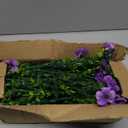 Artificial Flowers Fake Plants for Outdoors Spring Decoration, 13Bundles Silk Realistic UV Resistant Faux Flowers for Outside Planter Porch Yard Patio Garden Home Indoor, Purple