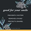 3 x Burt's Bees Toothpaste, Natural Flavor, Charcoal with Fluoride Toothpaste, Mountain Mint, 3 x 4.7oz