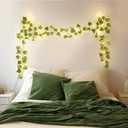 Globe 7.2FT |2.2M Vine String Light 20 LED