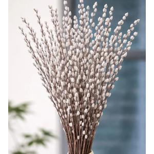 35 Stems 16＂Real Dried PussyWillow Branches for Vase，Natural PussyWillows with White Flowers, Snow Willow Branches for Indoor and Outdoor Decor, Wedding Home Party Hotel Fireplace Yard