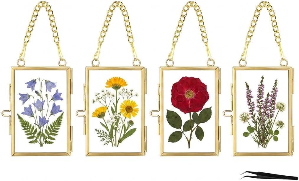 Pressed Flower Frames with Tweezers,Wall Hanging Double Glass Frames 2x3 with Metal Chain for Dried Flowers Plants,Floating Photo Frame for Display Gallery Artwork,Golden, 4 Pack