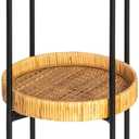 Creative Co-Op Modern Arched Metal Plant Stand or Shelf with 3 Round Removable Rattan Trays, Black with Natural