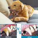 NEZIN Dog Toys for Aggressive Chewers, Indestructible Toys for Large Dogs, Dog Chew for Large Medium Small Breed, 3 Pack Super Chewer with Tough Nylon, Gift for Dogs