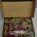 Floweroyal 15PCS Burgundy Roses, Artificial Flowers 4.33" Velvet Flowers with Long Stem Fake Roses for Mom, Wife, Anniversary Birthday Valentine's Day Gift for Women