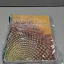 Prealgebra (2nd Edition)