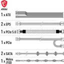 MSI MAG A750GL PCIE5 - EU Cord