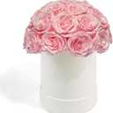 27 Preserved Roses in Round Dome Shape, Mother's Day Real Forever Flowers Rose Box, Eternal Rose Gift for Her Women Girl Friend Wife, Flower Gift for Valentines Day(Pink)
