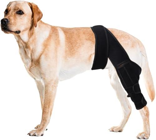 Duomaiyoyo Professional Dog Knee Brace for Torn ACL, CCL Injury & Arthritis Relief - Adjustable Neoprene Support with Stabilizers for Small Dogs 22-35KG (M)