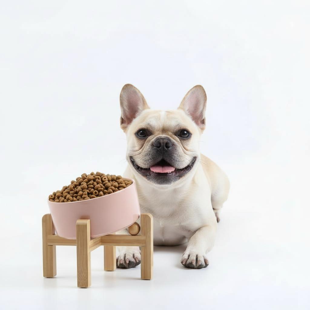 Petygooing Khaki Raised/Elevated 15Slanted Ceramic Dog Bowl for Small Breeds,Tilted Anti Slip Pet Feeding Bowl,Food Water Dish with Stand for Cats and Small Dogs Puppy 13.5 OZ (5.1In / 1.7 Cups)