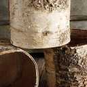 Richland Birch Bark Covered 6" Planters Pot