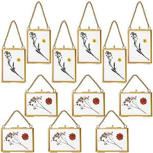 Kigley 12 Double Glass Frame for Pressed Flowers Floating Hanging Photo Frame 3.5 x 2.5 in Brass Clear Pressed Flower Decor with Chain for Display Gallery Artwork, Horizontal Vertical (Gold)