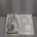 Candle Warmer Lamp with Timer and Dimmer,Electric Gold Light Gifts for Women Melt Wax Warmer Lamp with 2 Bulbs for Candle Jars House Warming New Home Decor Bedroom