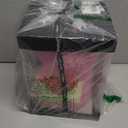 Double Couple Gift for Mom Women-Rose Cute Bear - Rose Adorable Teddy Artificial Bear - Best Gift for Valentines Day, Mothers Day, Anniversary, Birthdays- Clear Gift Box Included!10 Inches Tall (Pink)