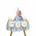One Silly Goose Birthday Decor for Boy, Goose High Chair Blue Banner, 1st Birthday Party Hat, Silly Goose Cupcake Topper for Baby Shower Party Decorations