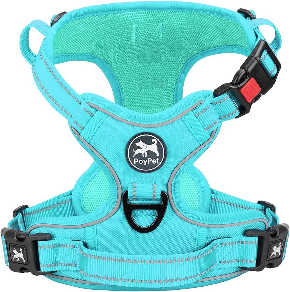 PoyPet No Pull Dog Harness, No Choke Reflective Dog Vest, Adjustable Pet Harnesses with Easy Control Padded Handle for Dogs (Mint Blue Matching Trim, XS)