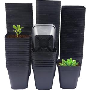 Square Nursery Pots 3" 120Pcs Deep Succulent Plastic Pots Small Flower Planter Seeds Starter Germination Pots with Drainage (Black,2.7Inches,120Pcs)