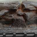 Electric Fireplace Logs Inserts Heater with Infrared Remote Controller 5 Flame Brightness 24 H Timer Overheating Protection for Home and Office Decor Black