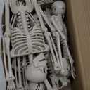 JOYIN 5 PCS Posable Halloween Skeleton Decor 16 Inches, Full Body Posable Joints Hanging Skeletons for Halloween Decorations, Graveyard Props, Haunted House Accessories, Spooky Scene Party Favors (Original)