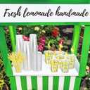 Gilprop 100 Sets Plastic Lemonade Cups with Lids and Straws Lemonade Stand Supplies 12 oz Disposable Lemon Cups Bulk with Stickers Lemonades Bar Supplies for Summer Beverage Drinking Party Favor