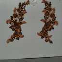 1 Pair Sew on Crystals Rhinestones Appliques Patches for Front Bodice Decoration Sewing Beaded Wedding Evening Dress Clothing Prom Costumes Crafts (Brown)