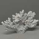 White Resin Coral Ornament Mediterranean Style Coral Decorative Resin Statue (Length 12.6 inches)