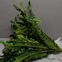 Dkaltm Single Silky Artificial Boston Fern Bush, 49Inch Large Artificial Ferns for Outdoors, Large Faux Ferns Artificial Plants,Suitable for Decorating Office, Living Room Faux Greenery,95Branches