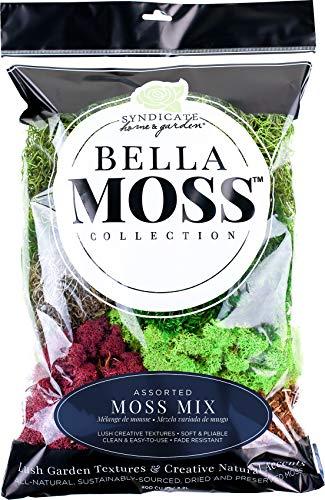 Preserved Moss Mix 200 cu in Bag