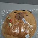 OurHonor Class of 2026 18in Graduation Stuffed Animal with Cap, Fringe & Diploma, Grad Gifts for Preschool, Kindergarten, Elementary, High School(Capybara)