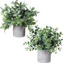 Winlyn Set of 2 Faux Mini Potted Plants Artificial Eucalyptus Boxwood Plants in Pots Fake Greenery Arrangement for Rustic Farmhouse Indoor Table Centerpiece Mantel Shelf Kitchen Office Desk Decor