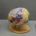 BEAMNOVA Human Brain Model, 2 Times Life Size, for Neuroscience Teaching, with Labels, Anatomy Model for Learning Science Classroom Study, Display Medical Model