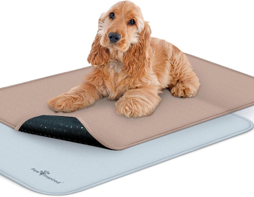 Paw Inspired Washable Crate Liners for Dogs (2 Pack) | Leakproof, Non-Slip Pee Pads for 48-Inch Kennels | Reusable Puppy Pads for Potty Training, Whelping, Waterproof Mat (47"x29" Size, Pack of 2) 