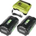 2-Pack 6.0Ah Replacement for Ryobi 40V Battery & OP401 Charger Kit, 40 Volt Lithium Ion Battery Compatible with OP4026 OP40261 OP4050 OP4040 OP40401 OP40601 OP40201 RY40180 