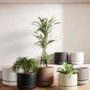 LE TAUCI Large 14 Inch Plant Pot with Saucer | Ceramic Outdoor & Indoor Big Planter Pot | Drainage Hole, Mesh Pad | Unglazed Porous | Modern Minimalist for Home and Patio Neutral Gray