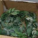Yunlly 135ft Artificial Faux Greenery Garland Willow Leaves Vines Hanging Willow Vines Leaf Garland for Indoor/Outdoor Wedding Party Decor Wedding Table Centerpieces (Green,36 Pack)