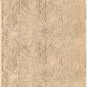 Dog Door Mat for Muddy Paws, 72" x 24" Absorbent Chenille Mud Mat for Dogs Large, Runner Dog Rugs, Trap Dirt Washable Non Slip Outdoor Indoor Entrance Rug, Beige