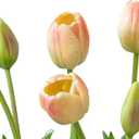 DUYONE 15pcs Artificial Tulips Flowers, Latex Bouquet, Fake Tulips for Office Wedding Party Home Kitchen Garden Decoration-B Pink Champagne