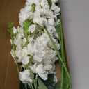 8 Pcs White Delphinium Artificial Flowers, 34.25''Artificial Snapdragon Flowers Tall Fake Flowers Silk Flowers Faux Delphinium Bulk for Tall Vase Home Wedding Garden Table Decor (White)