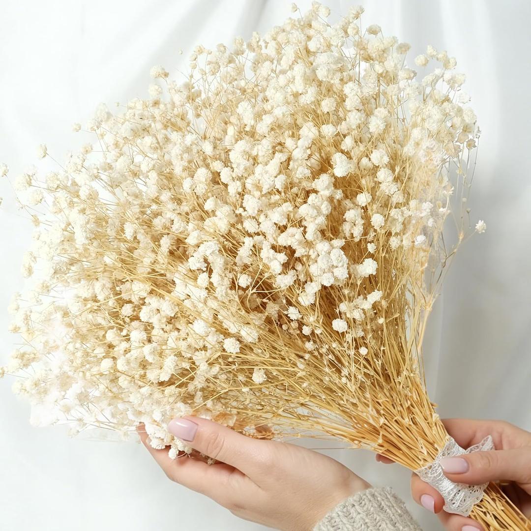 Dried Baby Breath Flowers