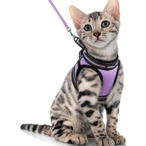 rabbitgoo Cat Harness and Leash Set for Walking Escape Proof, Adjustable Soft Kittens Vest with Reflective Strip for Cats, Comfortable Outdoor Vest, Light Purple, XL
