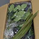 FOTEEWL 60 Pcs Artificial Rose Flower Realistic Faux Silk Roses Stem Fake Roses Bouquet for Flower Arrangement, Wedding Centerpieces, Party, Home Decor, Halloween Decorations (Black)