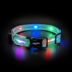 Light up Dog Collars,Led Dog Collar Rechargeable,Glow in Dark Dog Lights for Walking at Night for Dogs (Blue), One Size