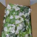 DearHouse 4Pcs 6.6Ft/Piece Artificial Flowers Silk Wisteria Garland Artificial Wisteria Vine Rattan Silk Hanging Flower for Home Garden Outdoor Ceremony Wedding Arch Floral Decor (White)