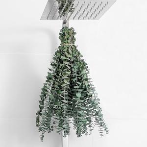 1 Pcs Dried Eucalyptus Stems 17" Real Eucalyptus for Shower Hanging 100% Made from Fresh Leaves, Wedding, Home, Farmhouse, DIY Spring Decor