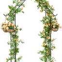 Garden Arch Arbor Trellis for Climbing Plants Outdoor 8.5Ft Metal Arch Trellis with Hooks Wedding Arch Backdrop Stand for Christmas Ceremony Party Backyard Decorations Pergola, Black